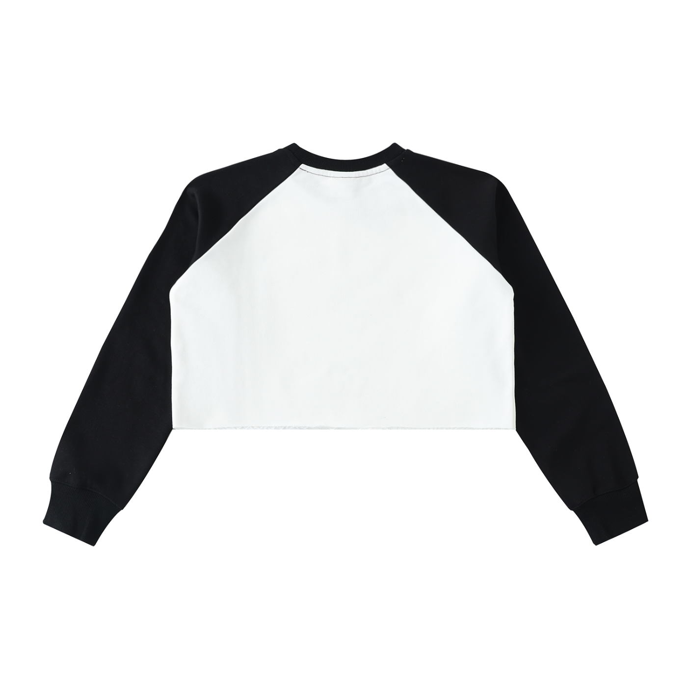 Color-Block Crop Sweatshirt