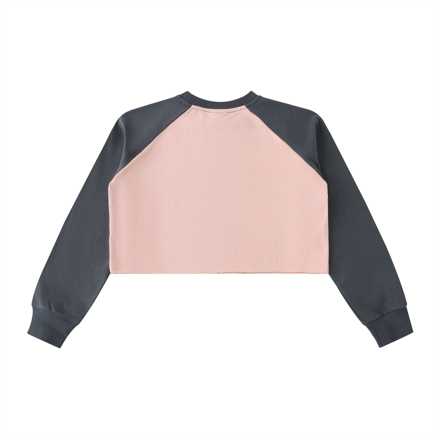 Color-Block Crop Sweatshirt
