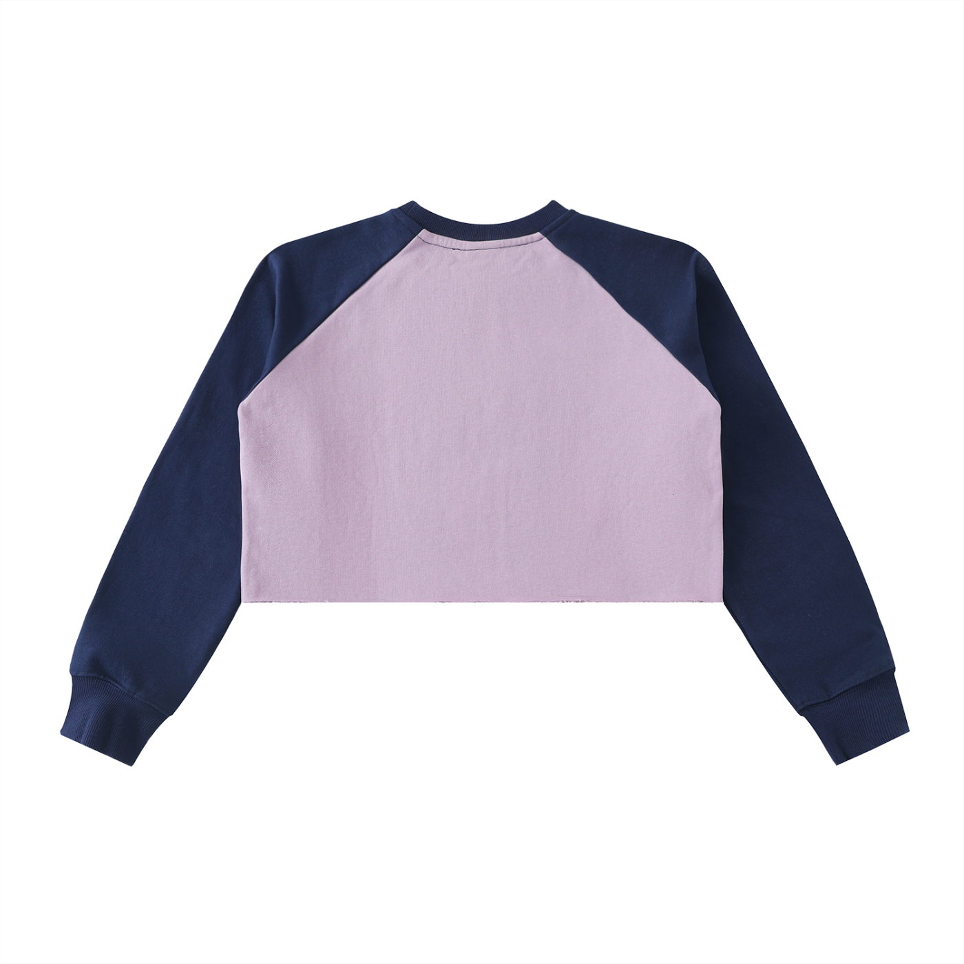 Color-Block Crop Sweatshirt